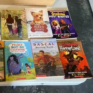 Other | Lot Of Childrens Kids Chapter Books Instant Library | Poshmark
